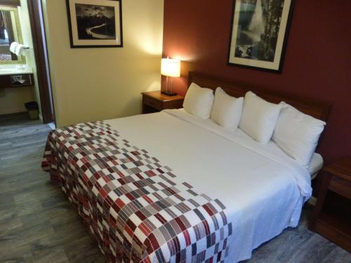 Фотография мини отеля Red Roof Inn & Suites Medford - Airport