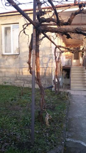 Фотография гостевого дома Ана