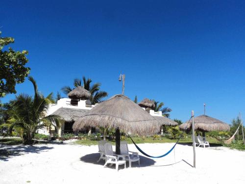 Фотография гостиницы Ecological Hotel Maya Luna