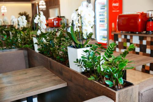 Фотографии хостела 
            Coin Apartments & Hostel