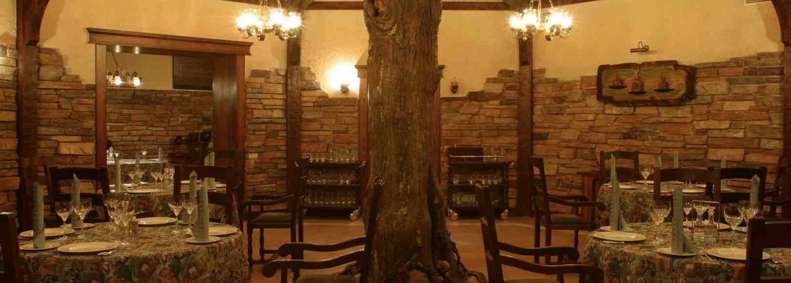 Фотография банкетного зала Зал Ресторана у дуба