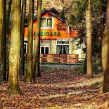 Фотография гостиницы Complex Turistic Caprioara