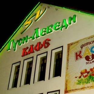 Фотография мини отеля Гуси Лебеди