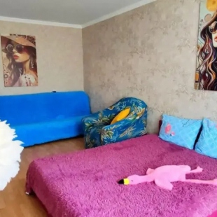 Фотография квартиры Апартаменты Фламинго