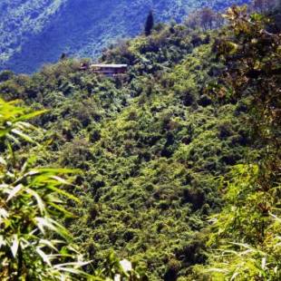 Фотографии мини отеля
Finca Petrona