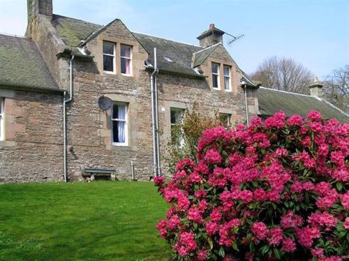 Фотография гостевого дома The Maid's House