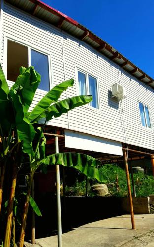 Фотография гостевого дома Изумруд