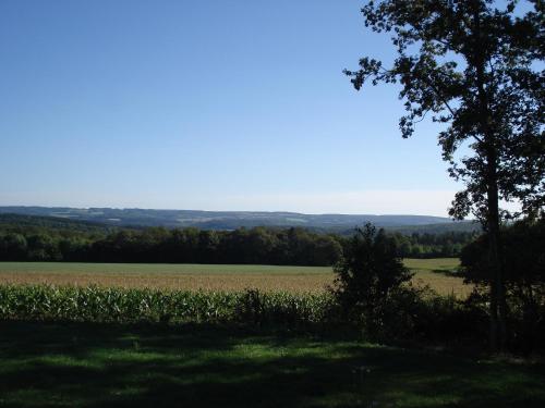 Фотография гостевого дома Hamerenne