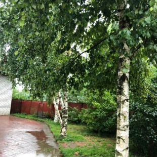 Фотография Коттеджа Частный дом на Нестерова