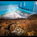 Фотография мотеля Oasis Motel & Holiday Park Turangi