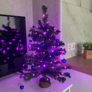 Фотография квартиры Апартаменты Apart Petroskoi