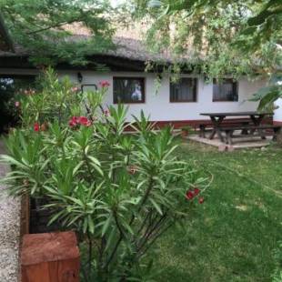 Фотографии гостевого дома
Balatonkenesei Nádfedeles Lovas Vendégház