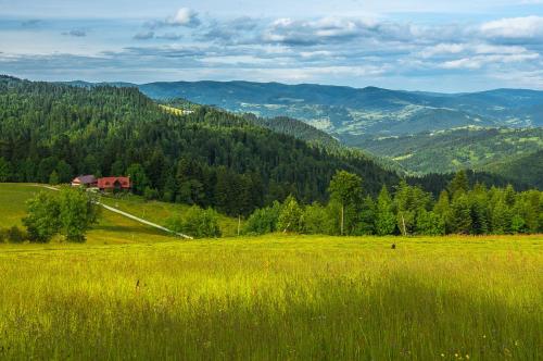 Фотография базы отдыха Domek na Obidzy