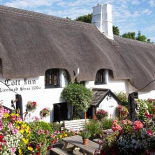 Фотографии мини отеля
The Cott Inn