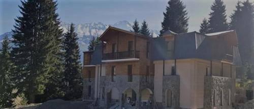 Фотография гостиницы Mestia Shgedi