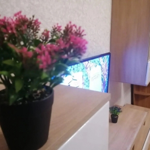 Фотография квартиры Апартаменты на улице Чехова 2Б