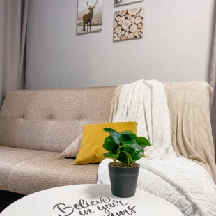 Фотография квартиры Квартира на Проспекте Ленина 19