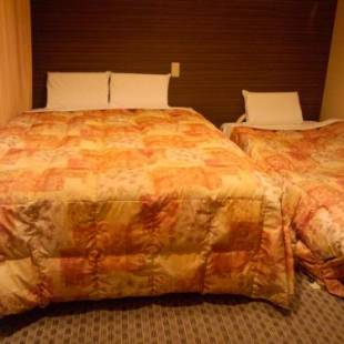 Фотографии гостиницы
Hotel Matsumoto Hills