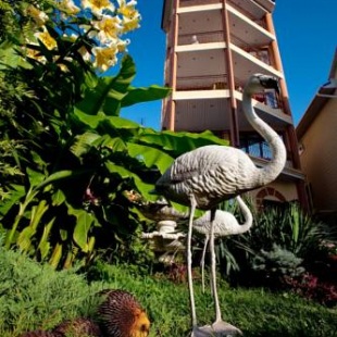 Фотография гостиницы Фламинго