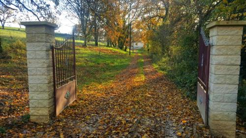 Фотография мини отеля Aux Tuileries Nord