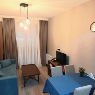 Фотография квартиры Bakuriani Crystal Loft 406