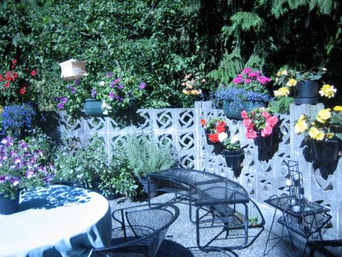 Фотография мини отеля Misty Meadows B&B