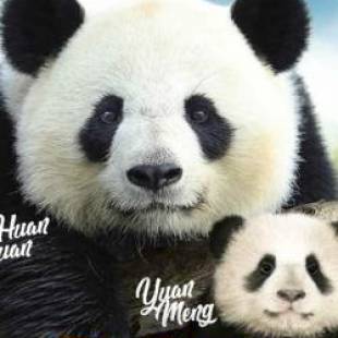 Фотографии гостевого дома
Villa poupa