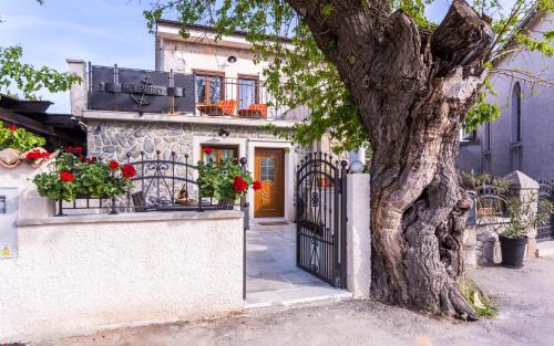 Фотография гостевого дома Villa Mulberry