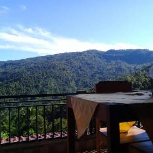 Фотографии мини отеля
Aris Homestay and Warung Made