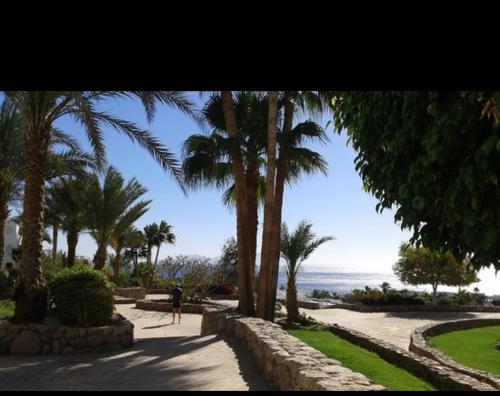 Фотография апарт отеля One-Bedroom Apartment at Domina Coral Bay