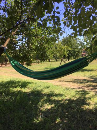 Фотография гостевого дома Szőlőhegyi házikó - Cottage in the vineyard