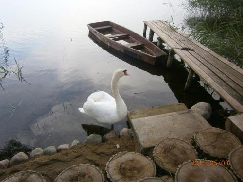 Фотографии гостевого дома 
            Агроусадьба Новиатка