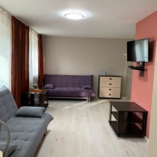 Фотография квартиры Апартаменты Apartanik