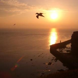 Фотографии гостевого дома
Hotel Felsen-Eck