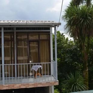 Фотография квартиры Апартаменты Giga Guesthouse