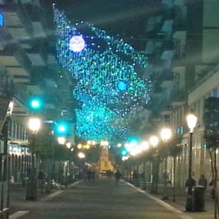 Фотография мини отеля B&B Santa Rosa