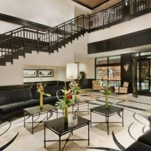 Фотографии гостиницы
Hampton Inn & Suites Chicago-Downtown