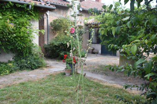 Фотография гостевого дома La Maison Molières