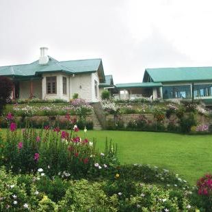 Фотография гостиницы Tea Bush Hotel