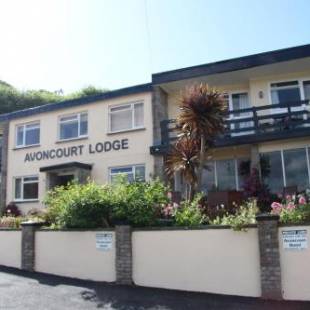 Фотографии мини отеля
Avoncourt Lodge