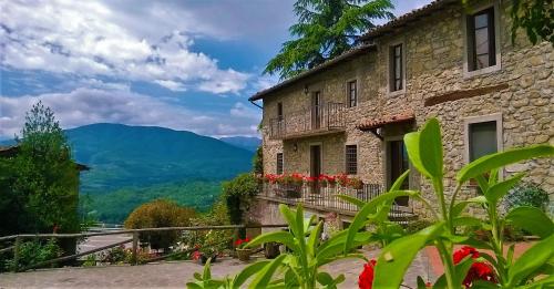Фотография мини отеля B&B Il Casale delle Pianacce
