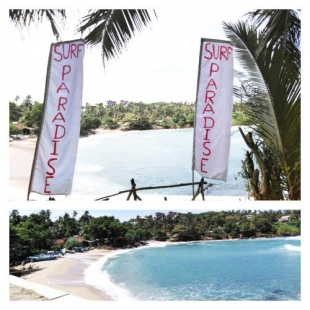 Фотография мини отеля Surf Paradise