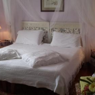 Фотография мини отеля Teapot House