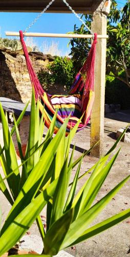 Фотография гостевого дома Casa Menir