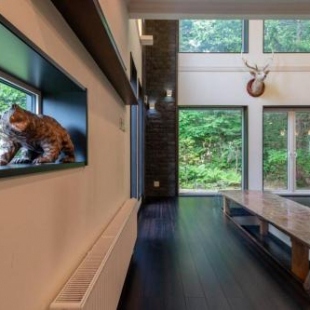 Фотография гостевого дома Shochikubai by H2 Life