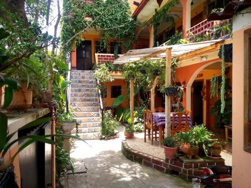 Фотографии гостиницы
Hospedaje El Viajero