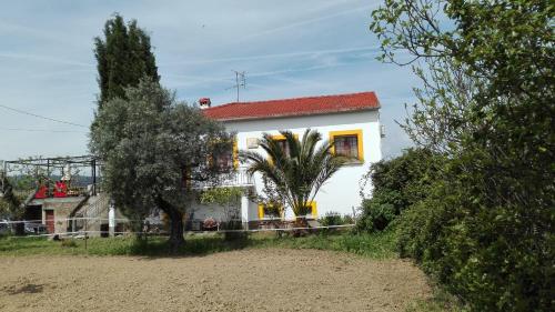 Фотография гостевого дома Quinta com cavalos e BTT