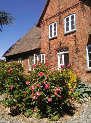 Фотография гостевого дома Casa Del Norte