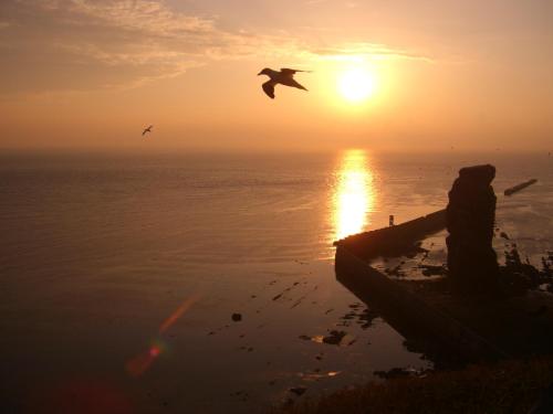 Фотография гостевого дома Hotel Felsen-Eck