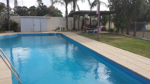 Фотография мотеля Paddle Steamer Motel